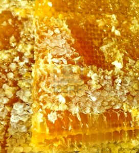 A méhpempő számtalan előnye a szervezet számára